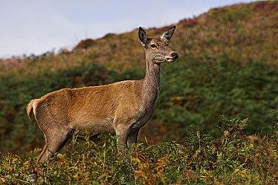 毁灭战士3风格FPS《Retchid》推出抢先体验版